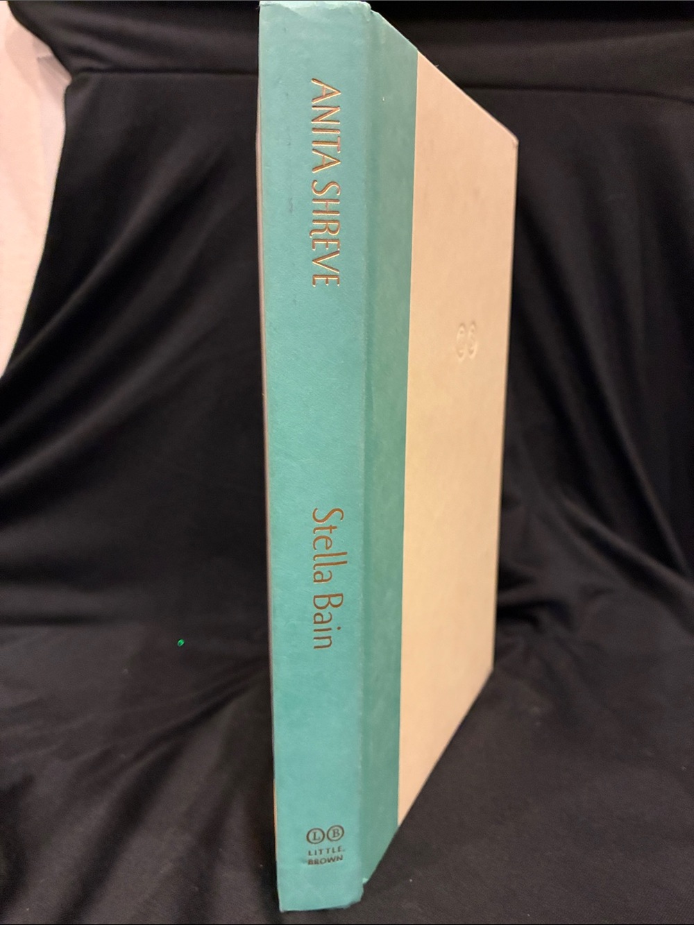 STELLA BAIN Novel by Anita Shreve FIRST EDITION / FIRST PRINTING